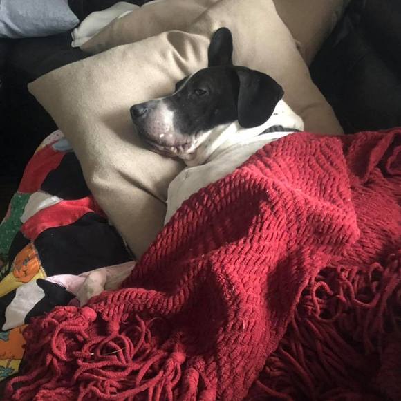 Meet your Posher, Kim - Picture 1 of 1